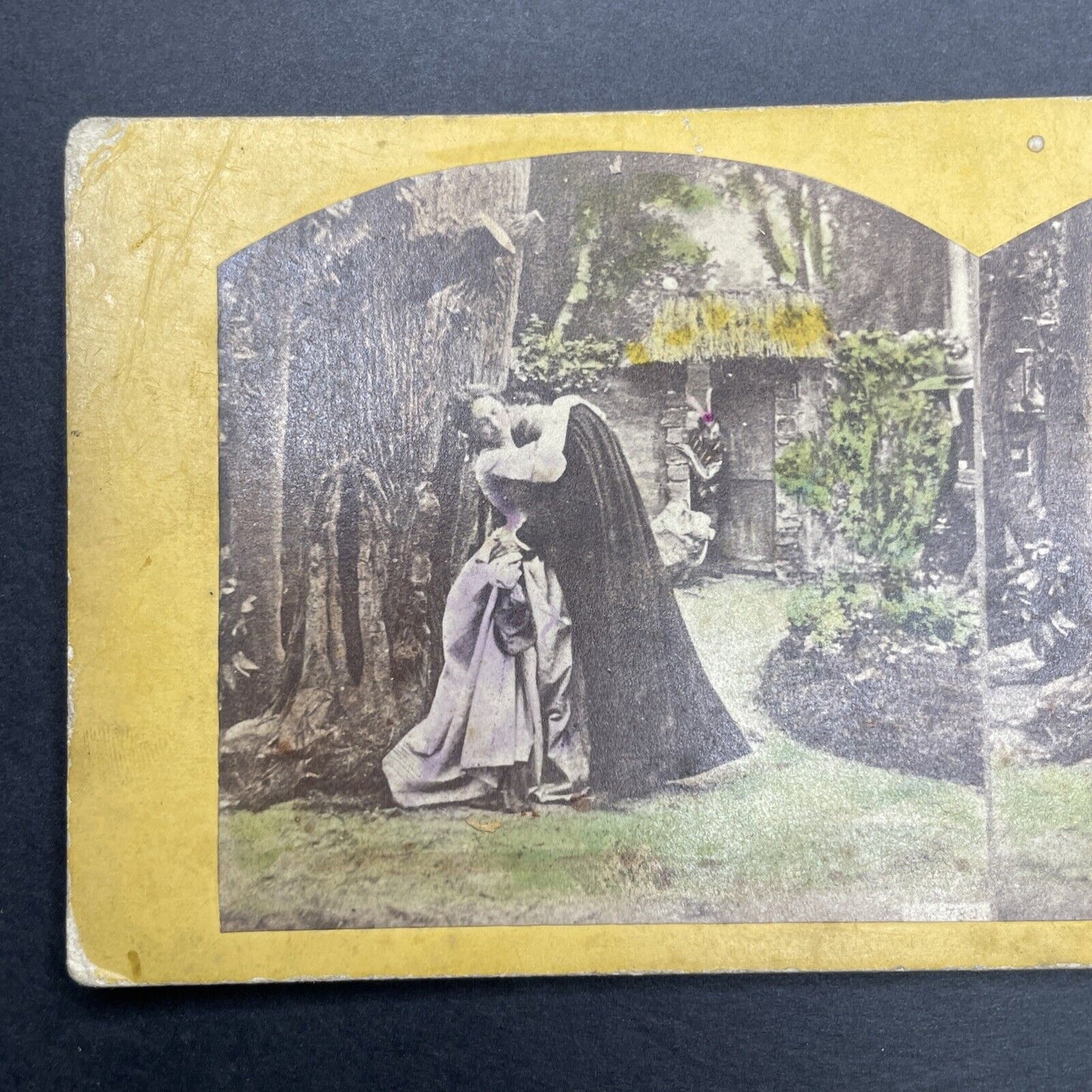 Antique 1860s Man Seduces Woman In Garden Stereoview Photo Card P1154