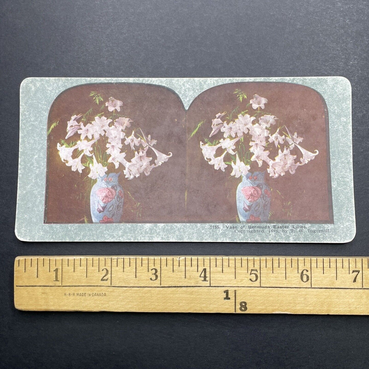 Antique 1898 Bermuda Easter Lillies In Vase Stereoview Photo Card P580-006