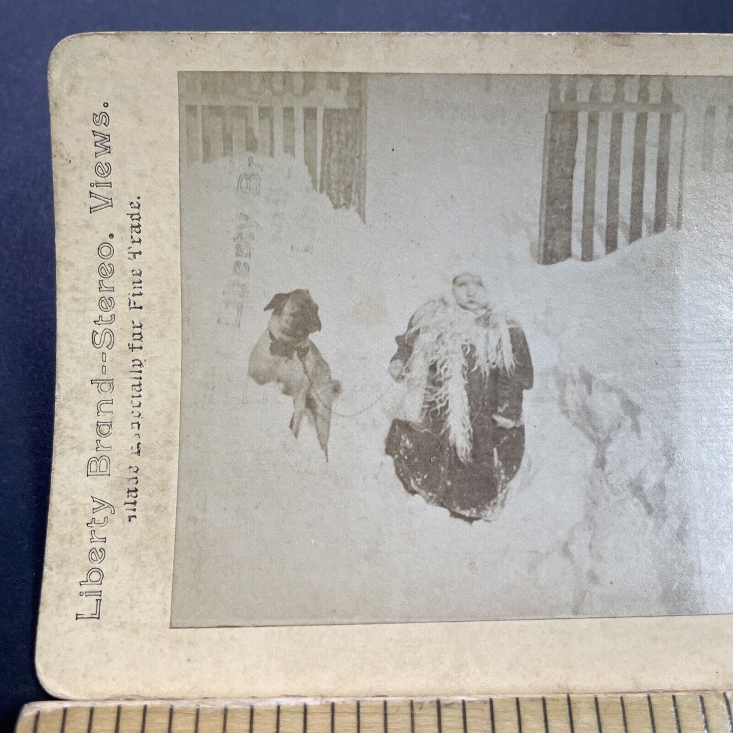 Antique 1870s Child And Pug Dog In Snowstorm Stereoview Photo Card P3538