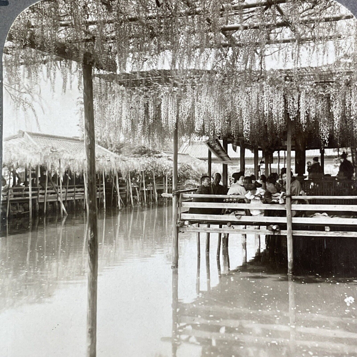 Wisteria Arbors in Kameido Tokyo Japan Stereoview Antique c1904 Y2596