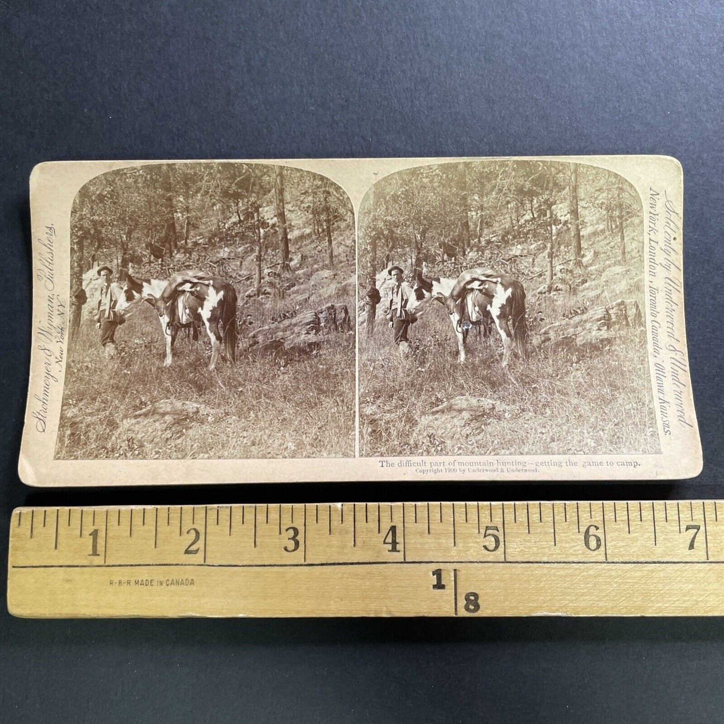 Antique 1900 Deer Hunting In The Swiss Alps Stereoview Photo Card P1567