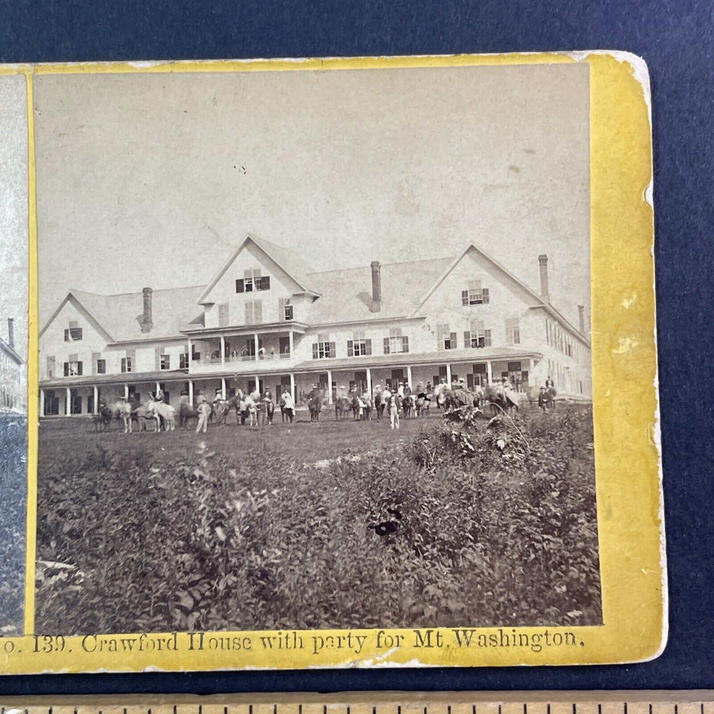 Expedition Horses at Crawford House Stereoview New Hampshire Antique c1870s Y949