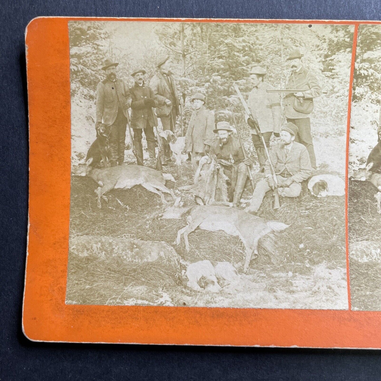 Antique 1888 Benjamin W. Kilburn Skinning A Deer Stereoview Photo Card P1661