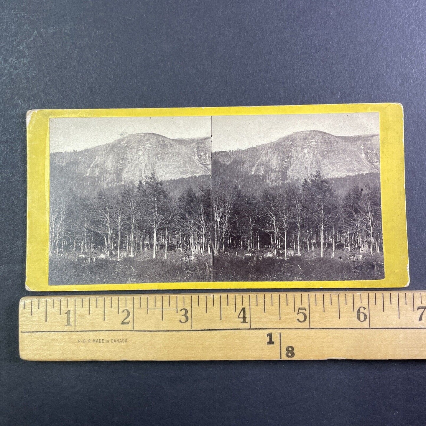 Cannon Mountain New Hampshire Stereoview E&HT Anthony Antique c1868 X3654