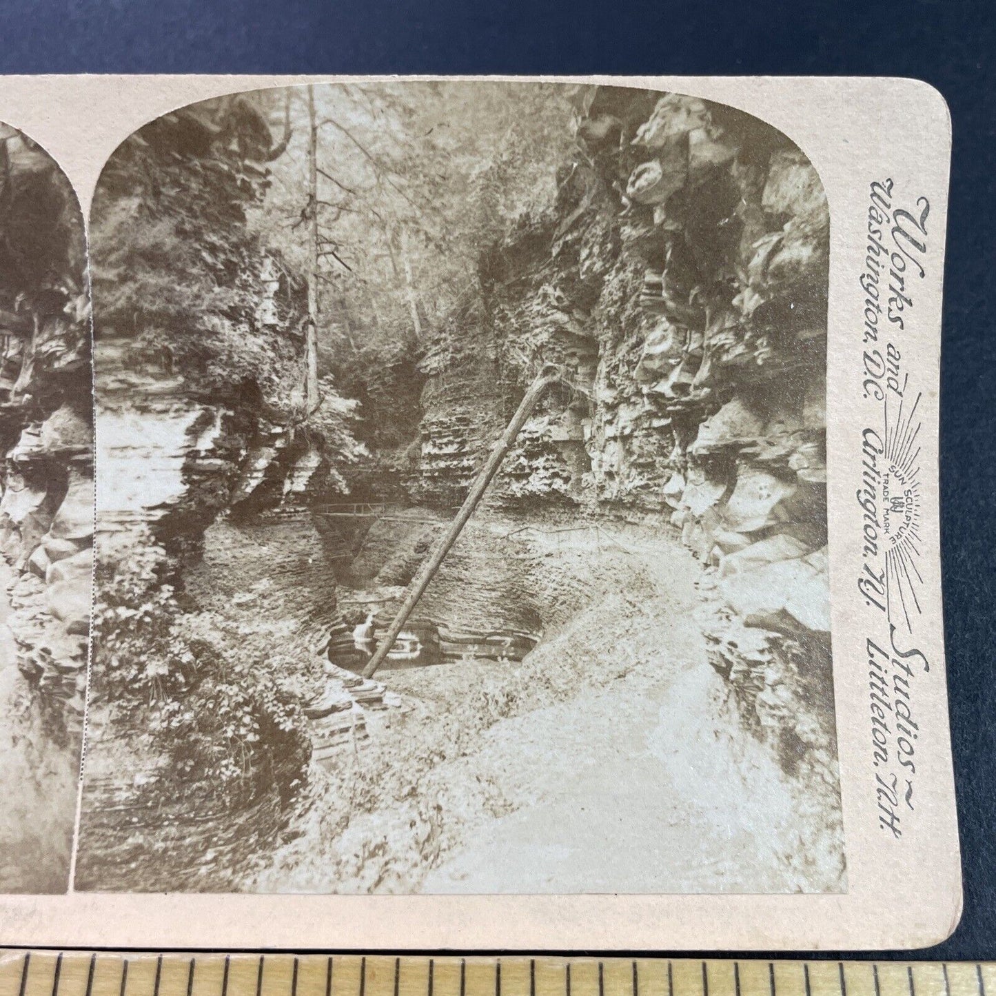 Antique 1890s Fallen Tree In Watkins Glen Gorge NY Stereoview Photo Card P3834