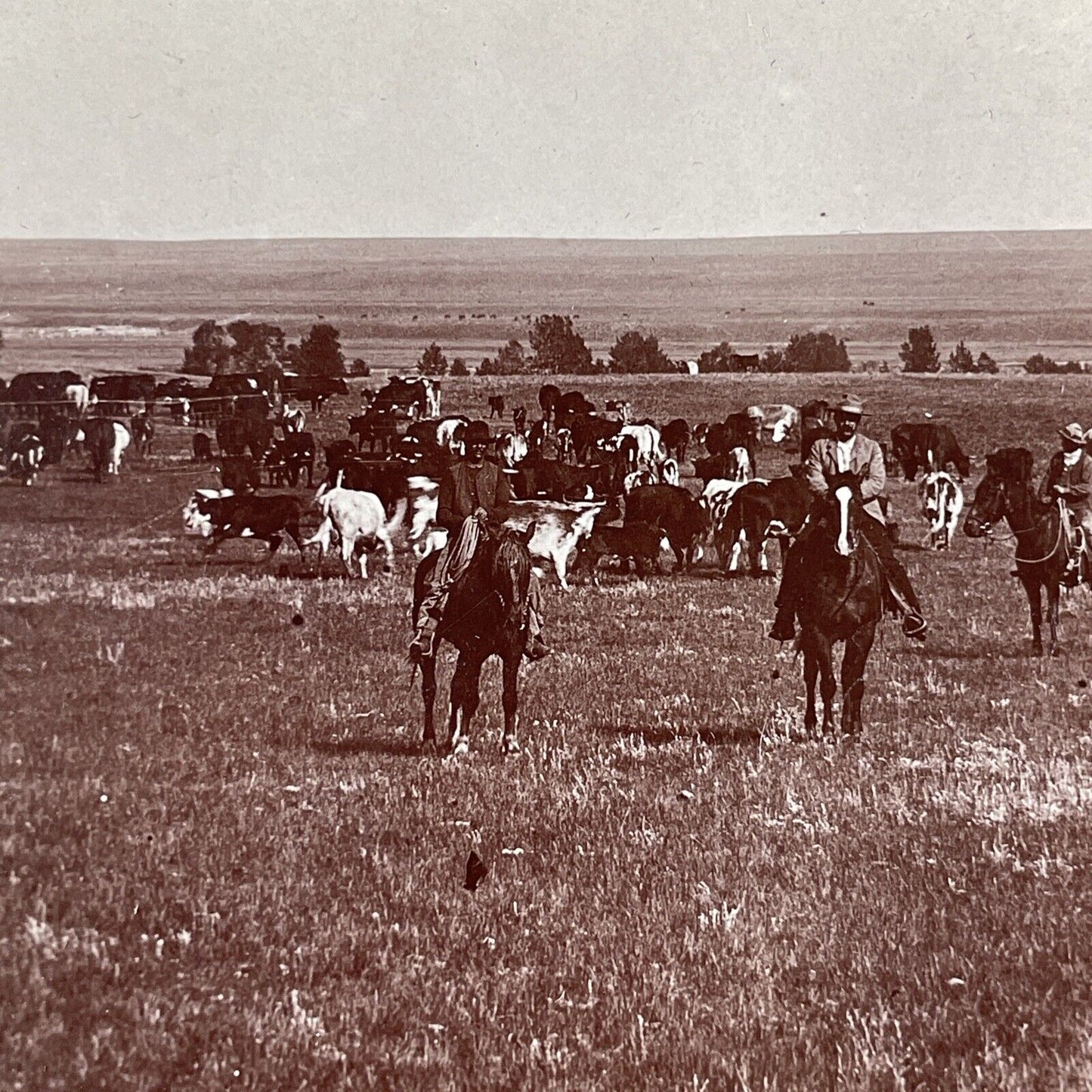 Cowboys in Central Alberta Canada Stereoview CPR Rail Views c1899 Y2116