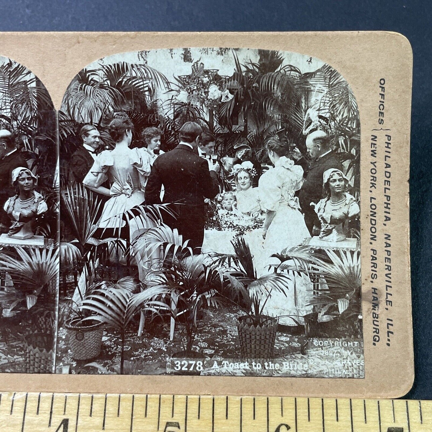 Antique 1897 A Wine Toast To Bride And Groom Stereoview Photo Card P2944