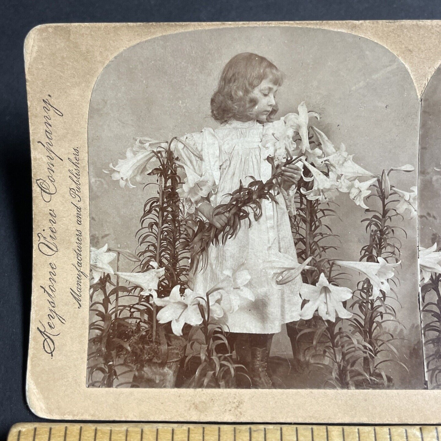 Antique 1896 A Child Poses With Lilies Lily Flowers Stereoview Photo Card P4751