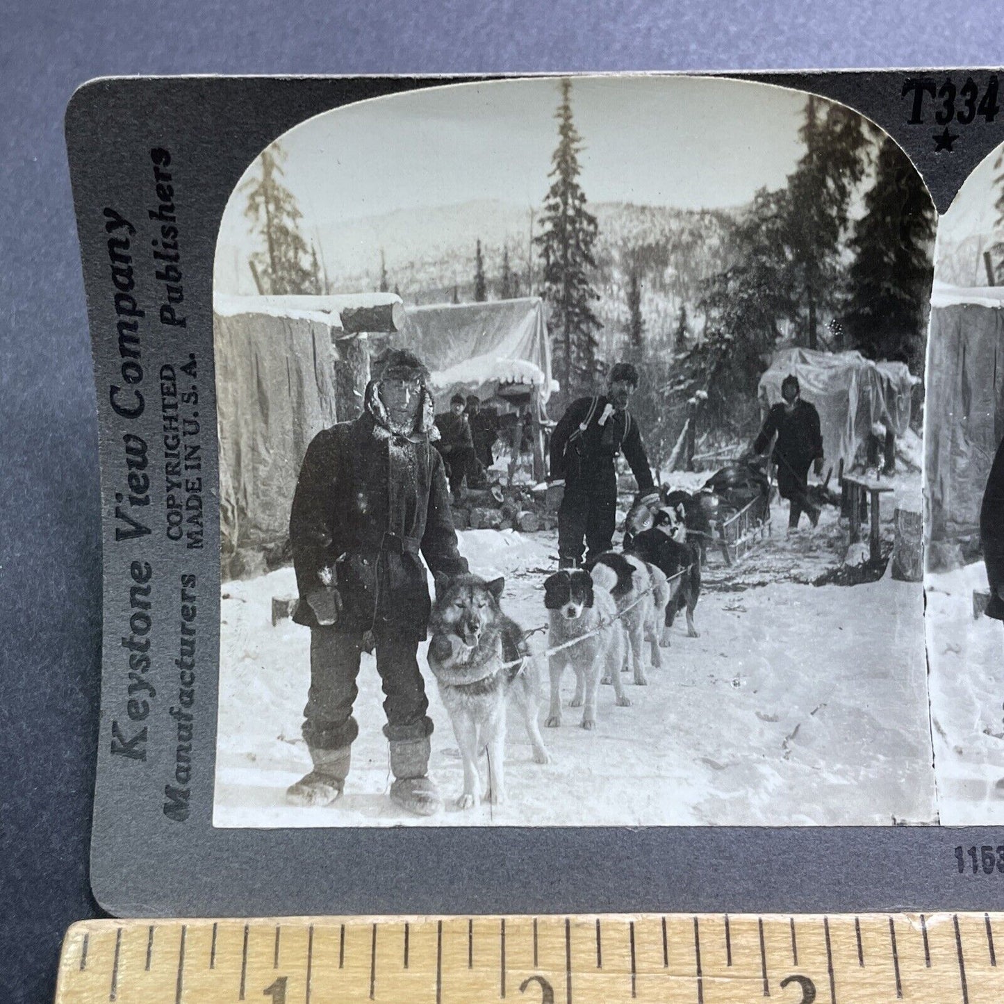 Antique 1909 Dog Sledding Sled In Northern Alaska Stereoview Photo Card V2885