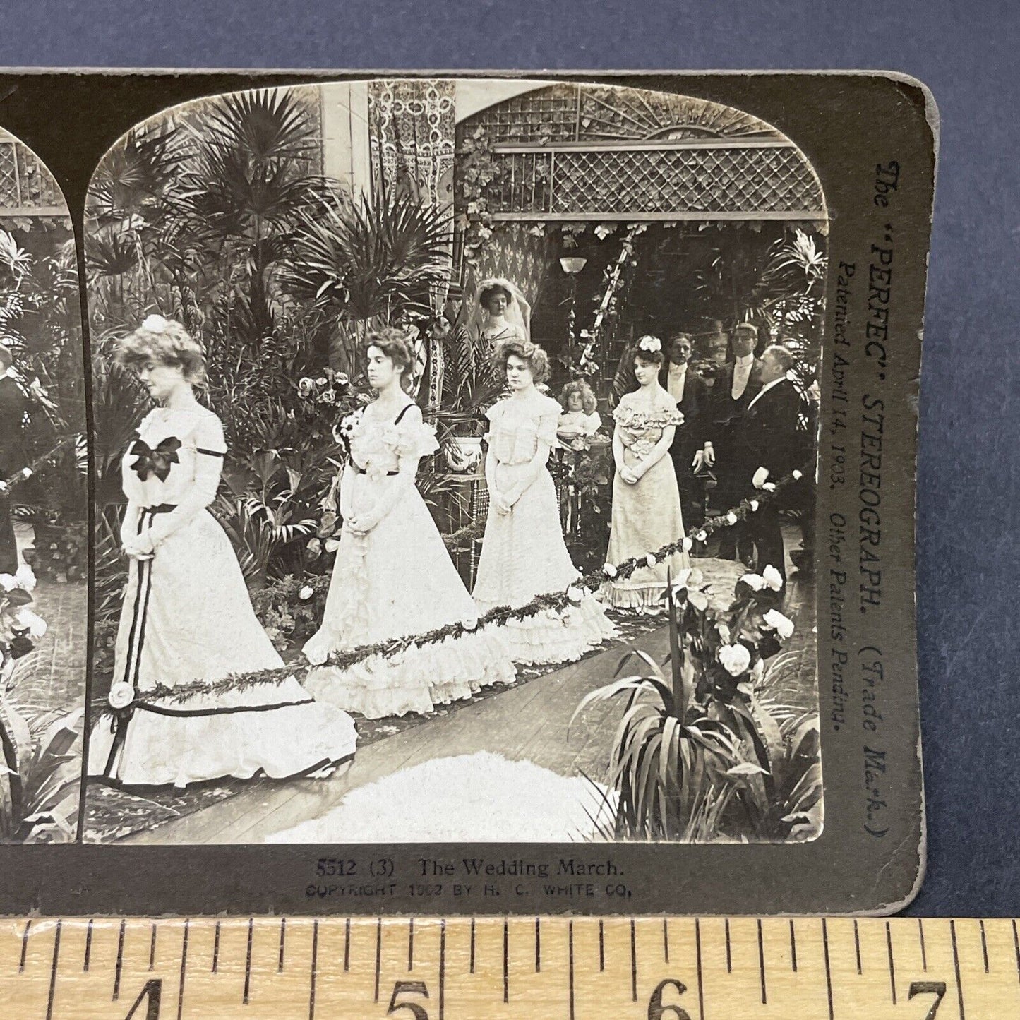 Antique 1902 Beautiful Bridesmaids At Wedding Stereoview Photo Card P2664