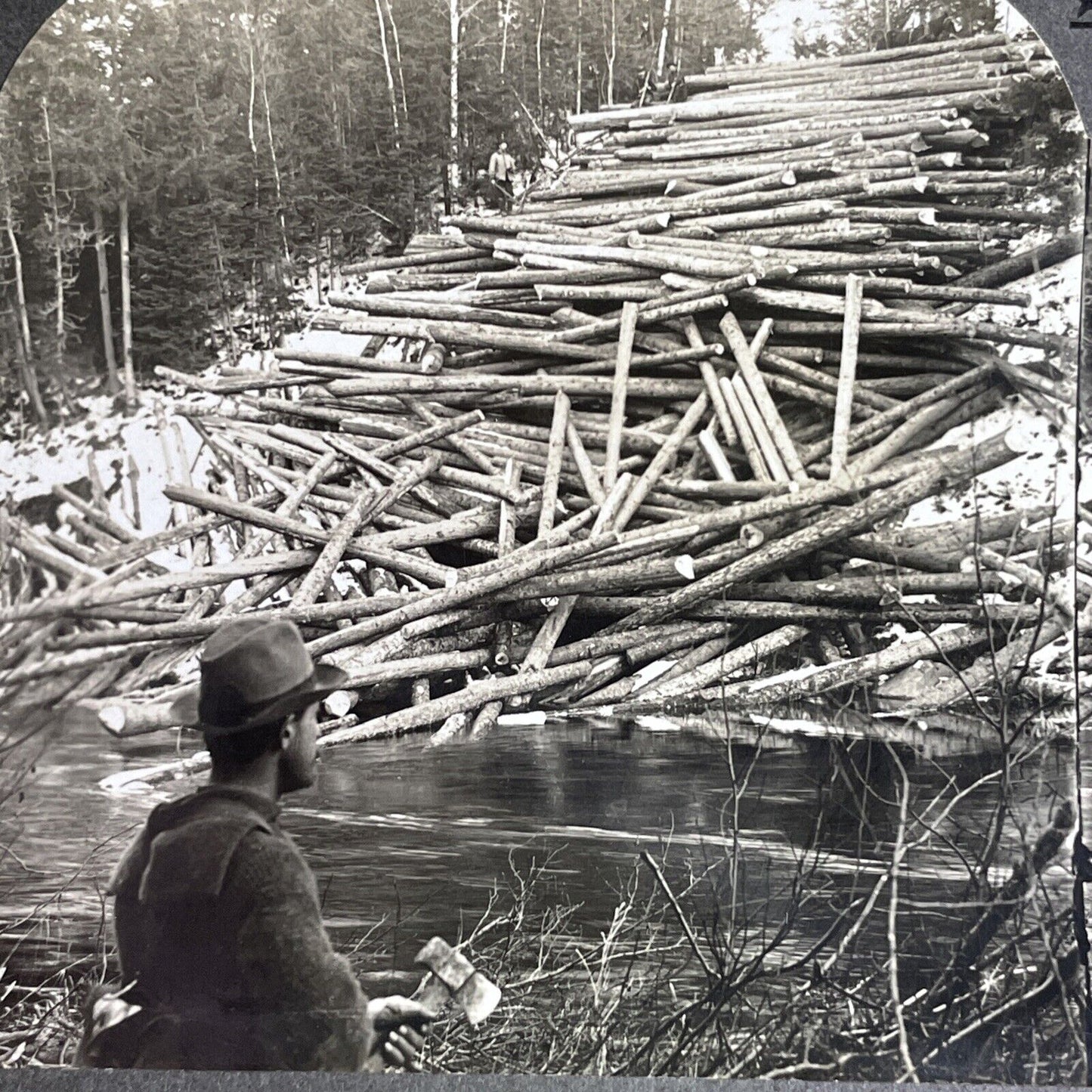 Heavy Tree Logging and Lumberjacks Stereoview Aroostook Maine c1909 Y1170