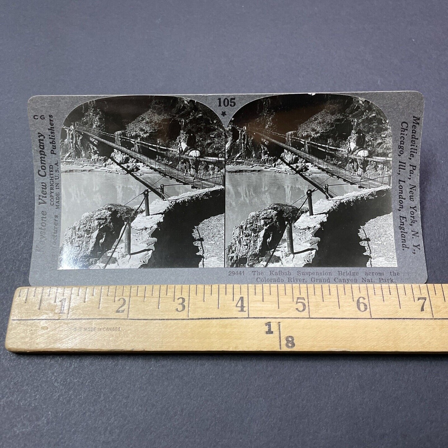 Antique 1910s Kaibab Suspension Bridge Colorado Stereoview Photo Card V2188