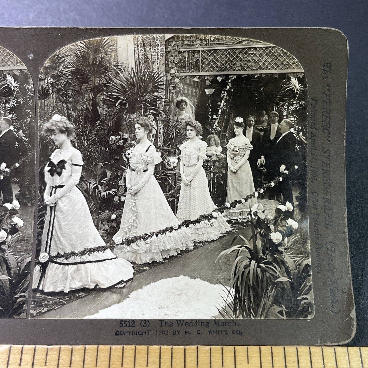 Antique 1903 Beautiful Bridesmaids At Wedding Stereoview Photo Card P3388