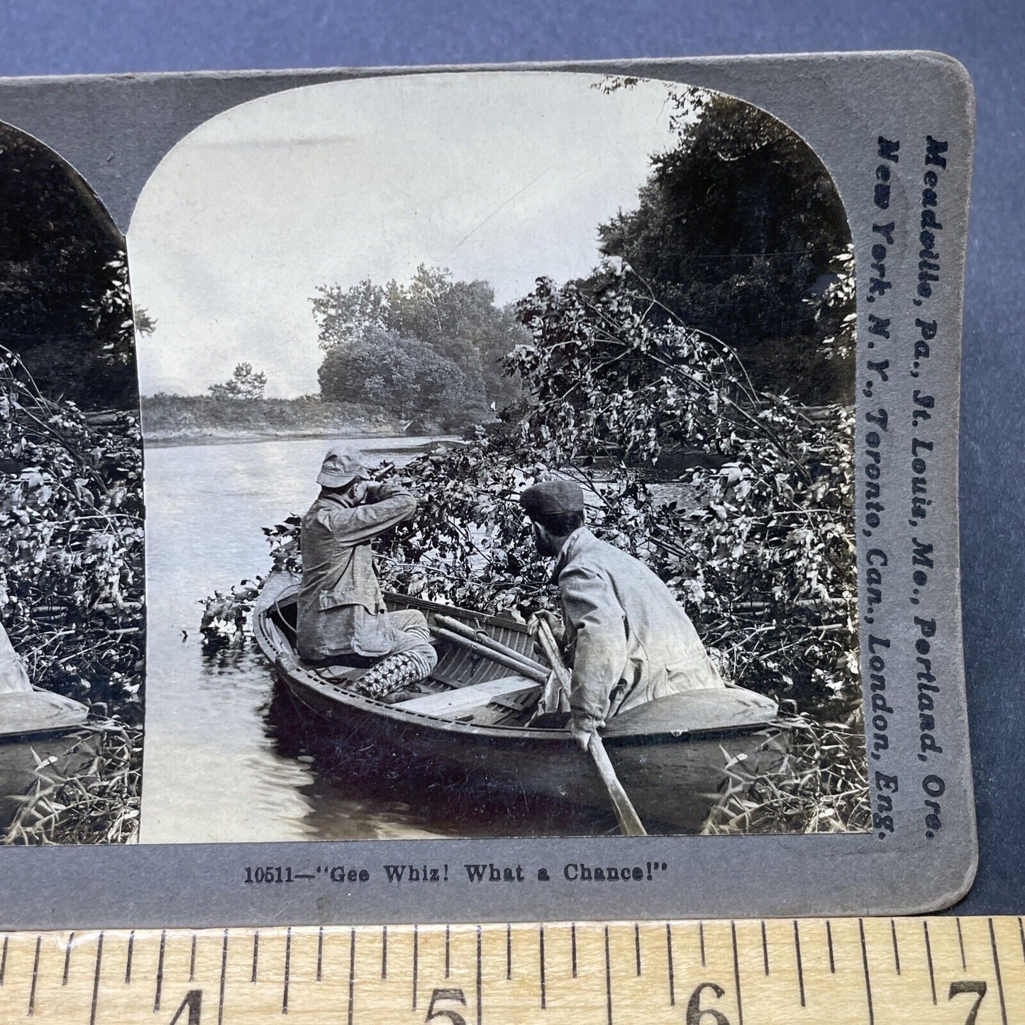 Antique 1899 Moose Hunting In Alaska From Canoe Stereoview Photo Card P2620