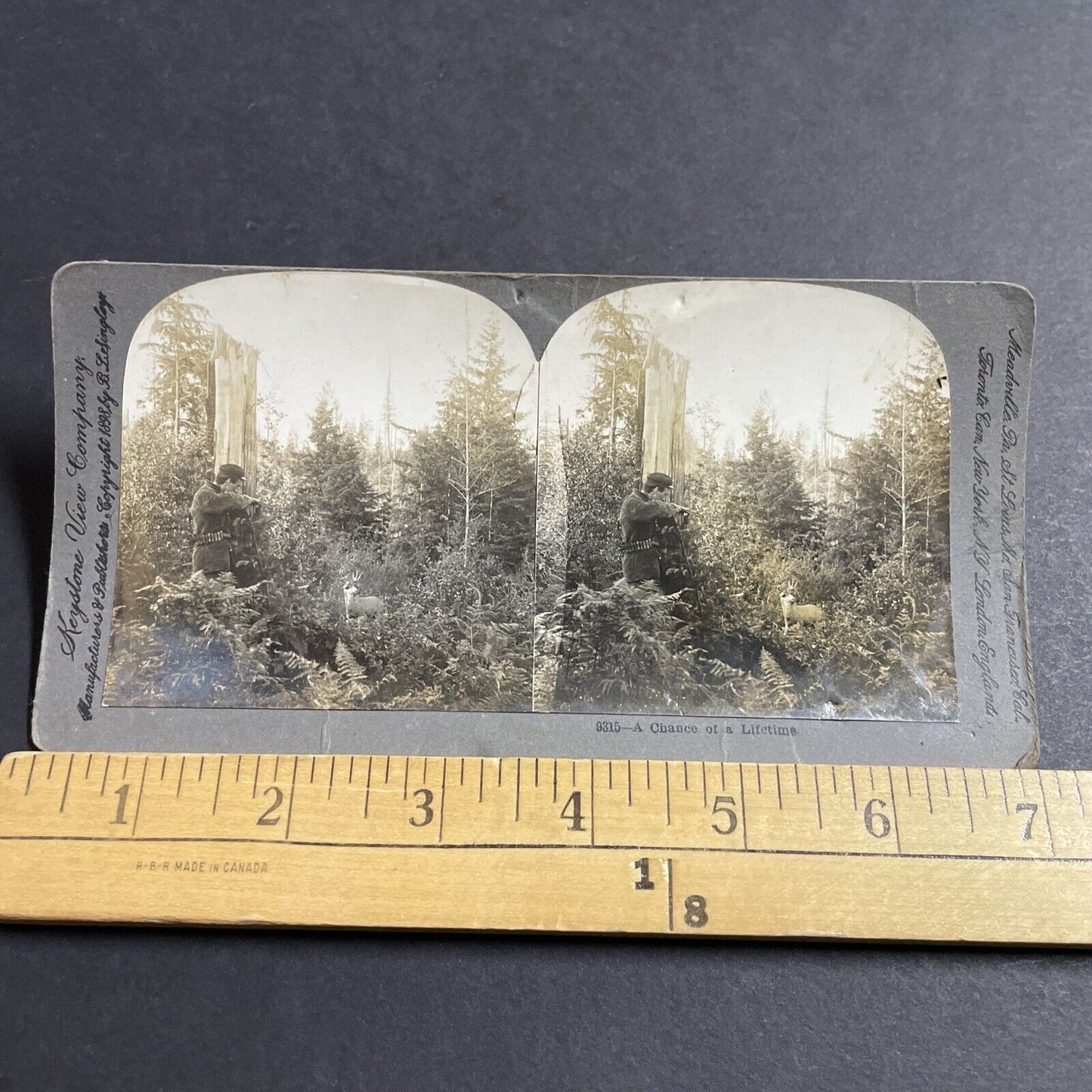 Antique 1898 Hunter Shoots A Buck Deer In Oregon Stereoview Photo Card P5090