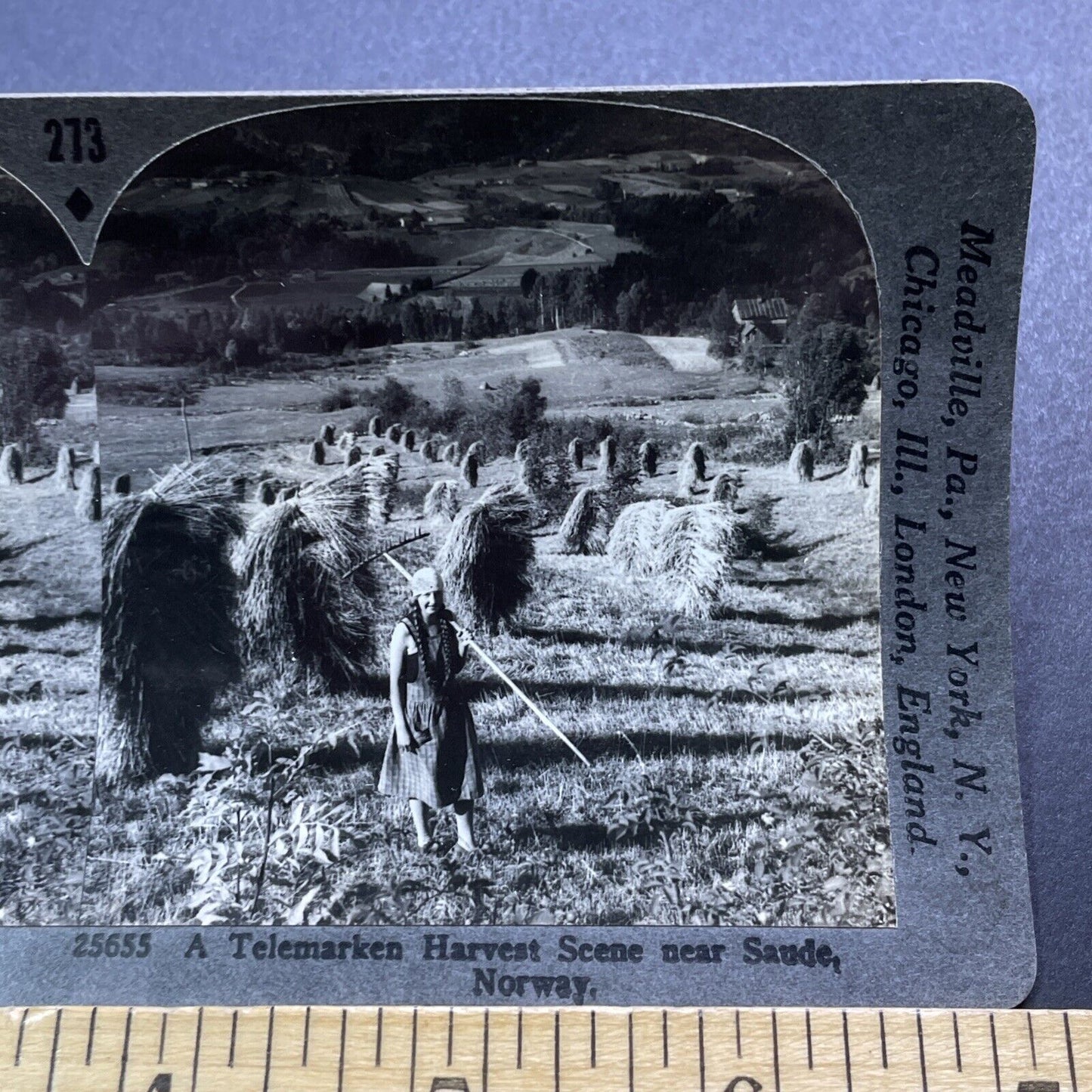 Antique 1920s Traditional Norway Farmer Girl Woman Stereoview Photo Card V2974