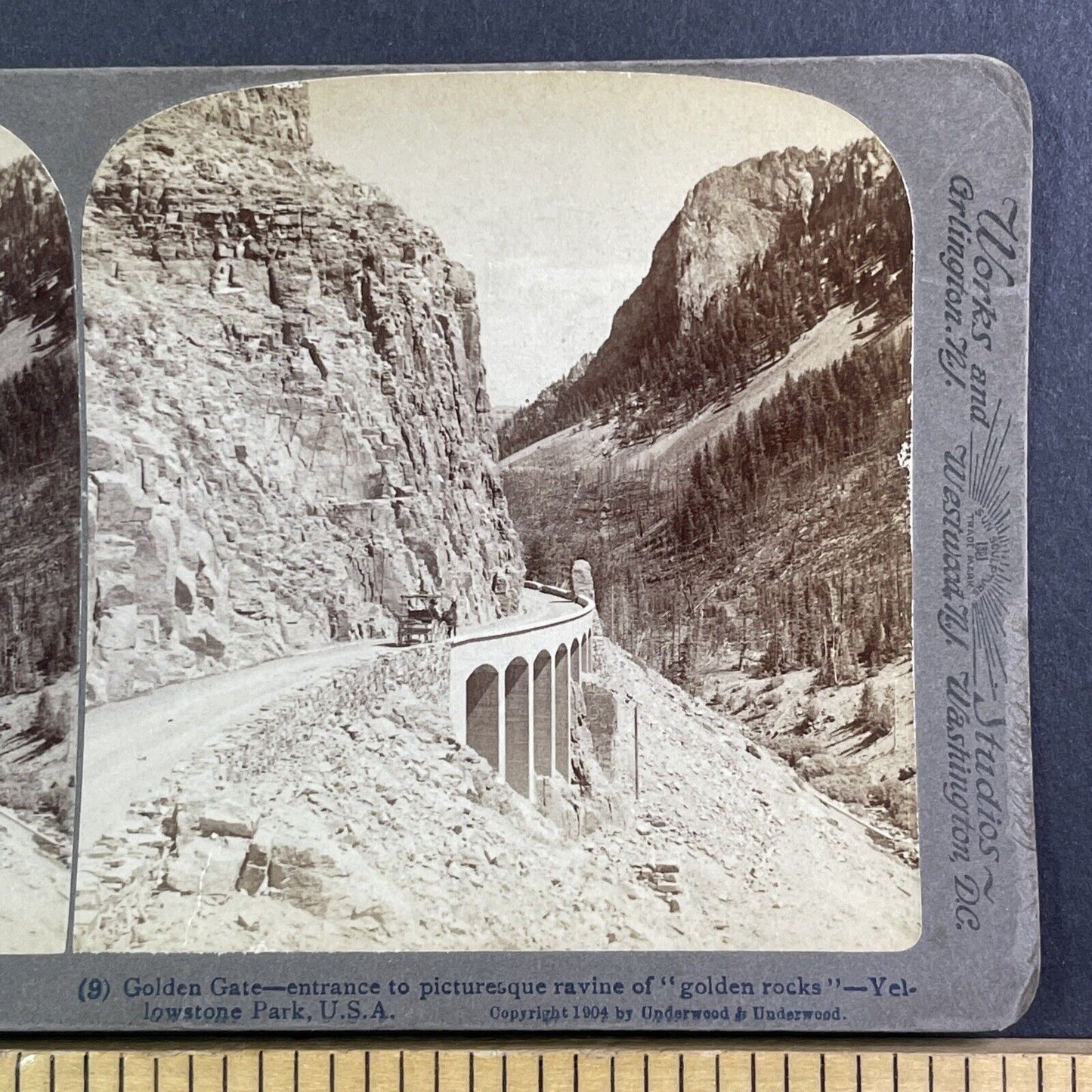 Golden Gate Yellowstone Park Entrance Stereoview Antique c1904 Y994