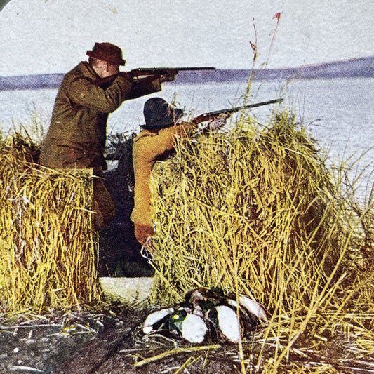 Antique 1904 Duck Hunters Shooting From A Blind Stereoview Photo Card V3409