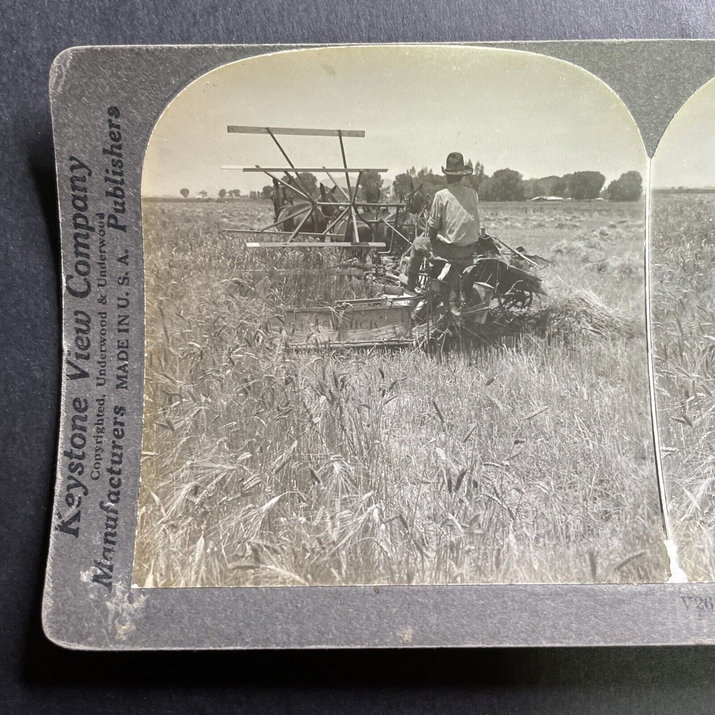 Antique 1918 Farming Wheat Yuma Valley Arizona Stereoview Photo Card P1733