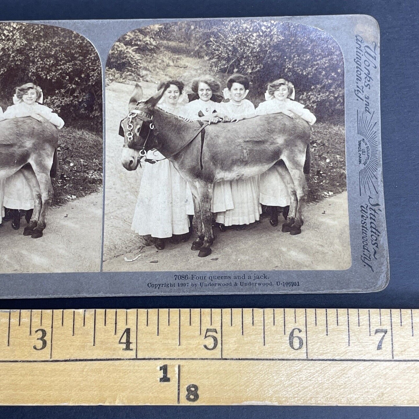 Antique 1907 Four Beauties And A Donkey Stereoview Photo Card PC793