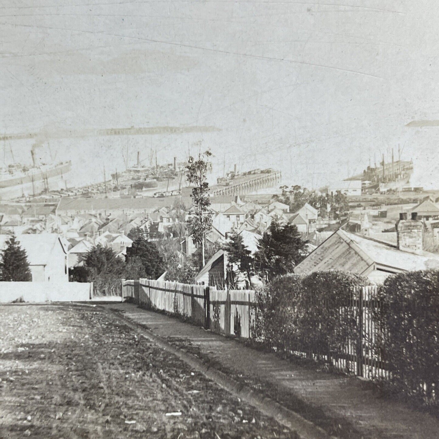 Antique 1908 City Of Christchurch New Zealand Stereoview Photo Card P2197