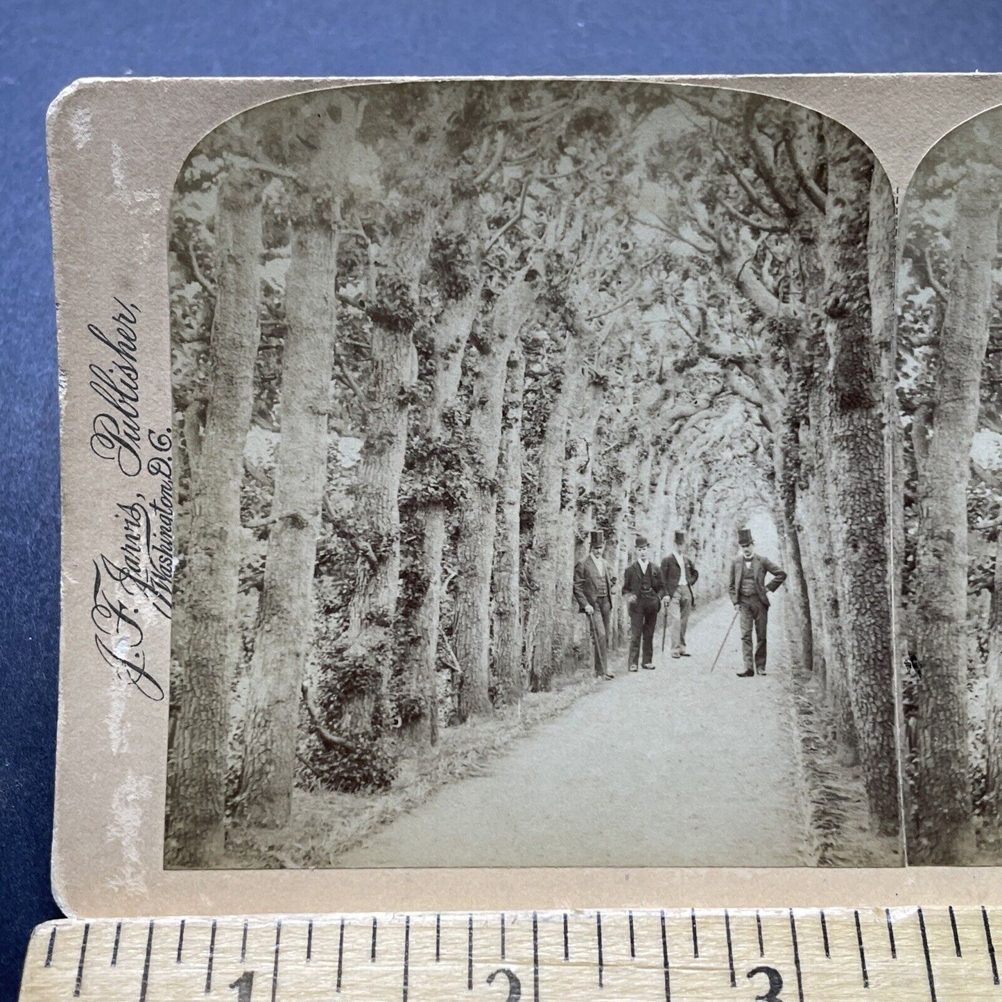 Antique 1890s Wealthy Men In London England Stereoview Photo Card P2391