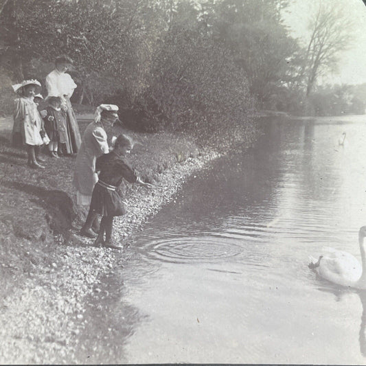 Antique 1909 Jamaica Pond Boston Massachusetts Stereoview Photo Card P1440