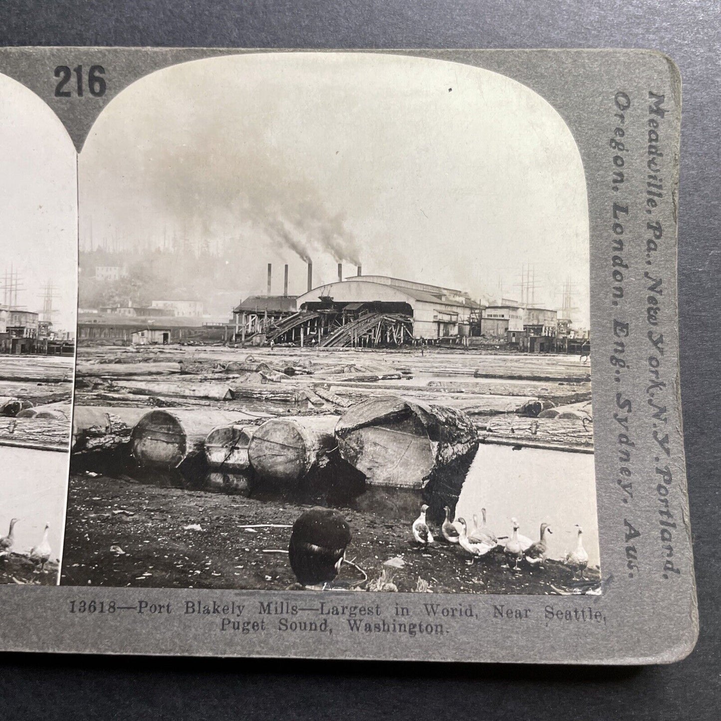 Antique 1914 Huge Lumber Mill Puget Sound Washington Stereoview Photo Card P1427