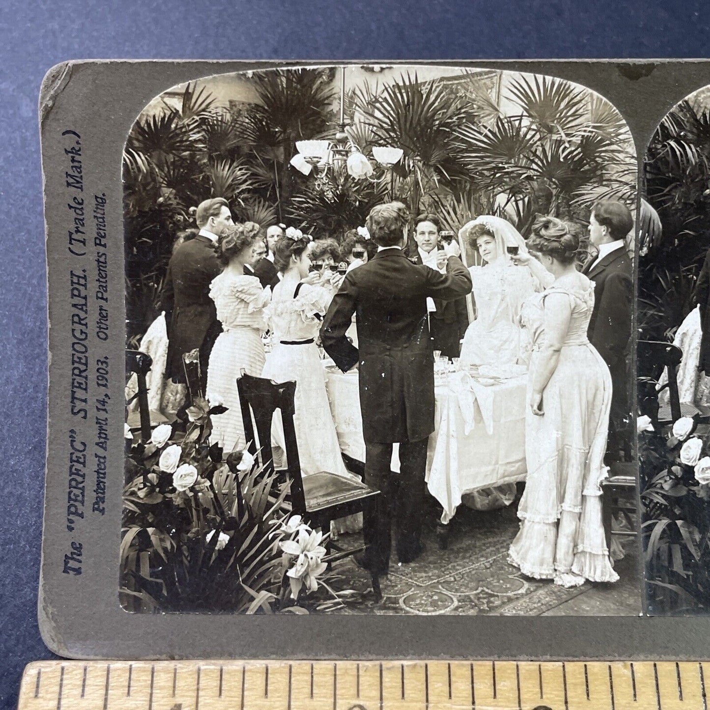 Antique 1902 Dinner Wine Toast At Victorian Wedding Stereoview Photo Card P2981