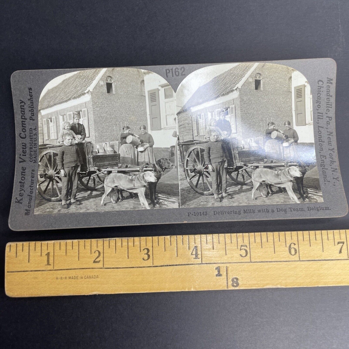 Antique 1918 Dog Sled Delivering Milk Antwerp Belgie Stereoview Photo Card PC769