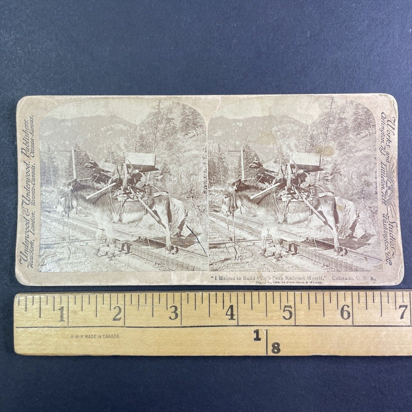 Donkey Hauls Mining Equipment Stereoview Pikes Peak Colorado Antique c1894 Y1165