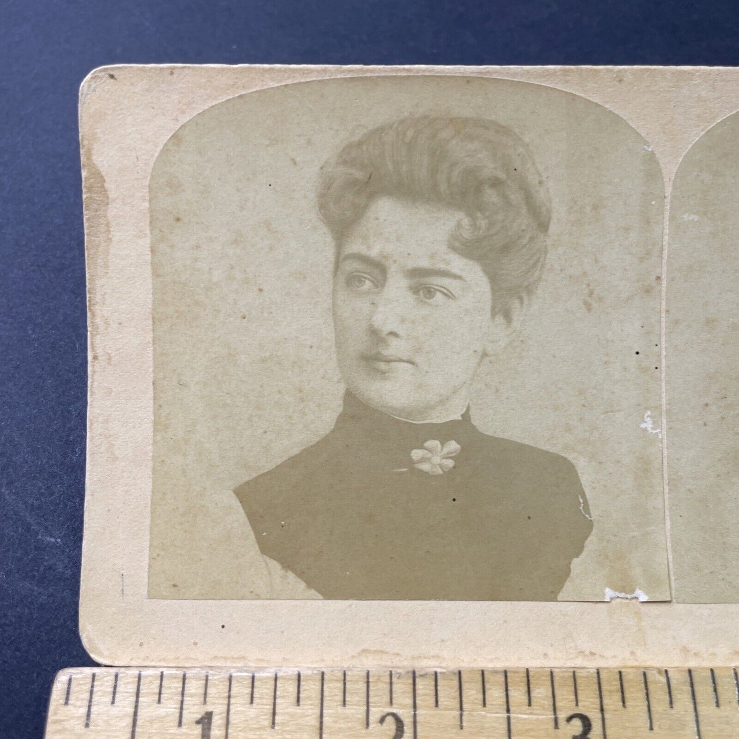 Antique 1886 Mrs Frances Cleveland First Lady Of USA Stereoview Photo Card P3079