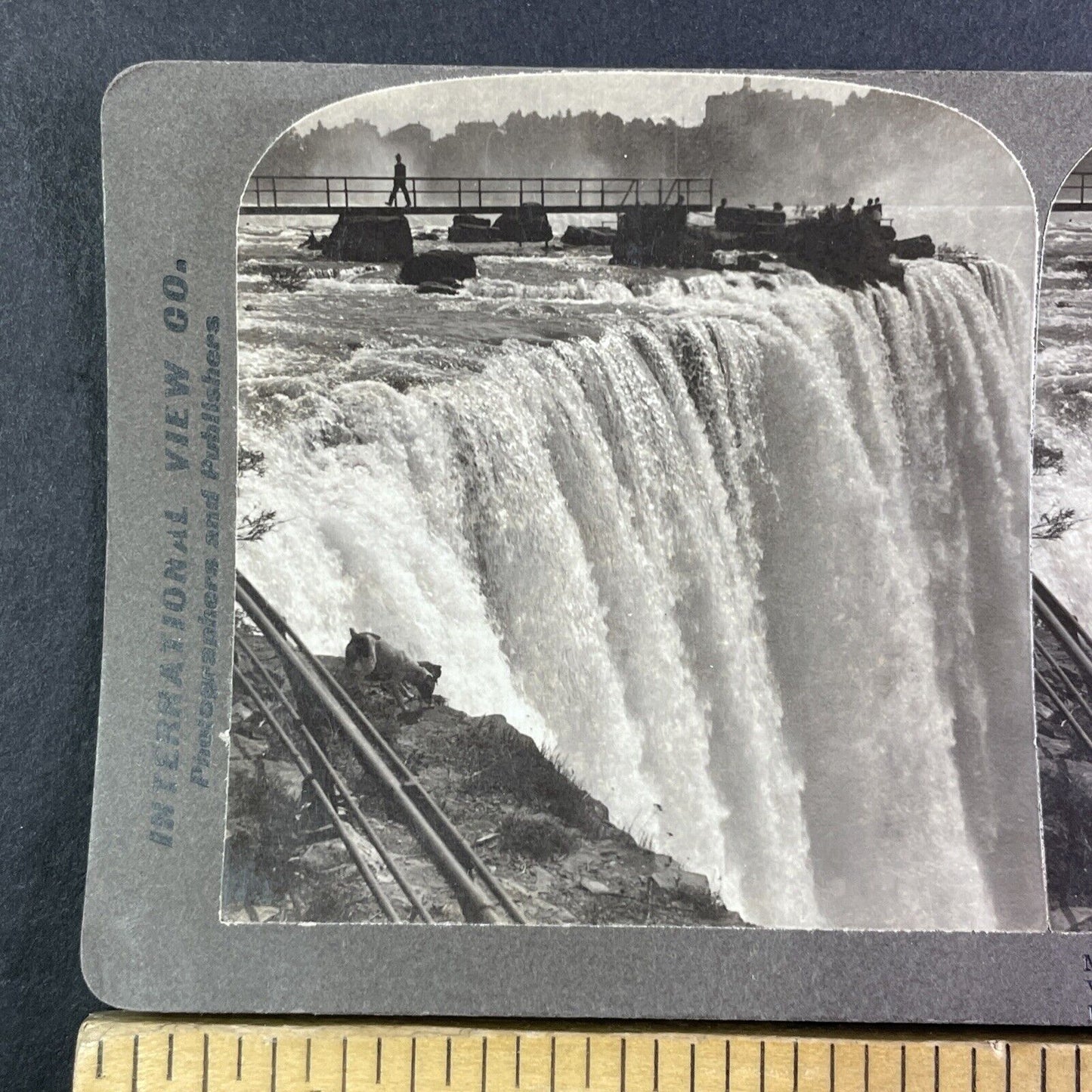 Dog at the Top Edge of Niagara Falls Stereoview C.L. Wasson Antique c1905 Y3005