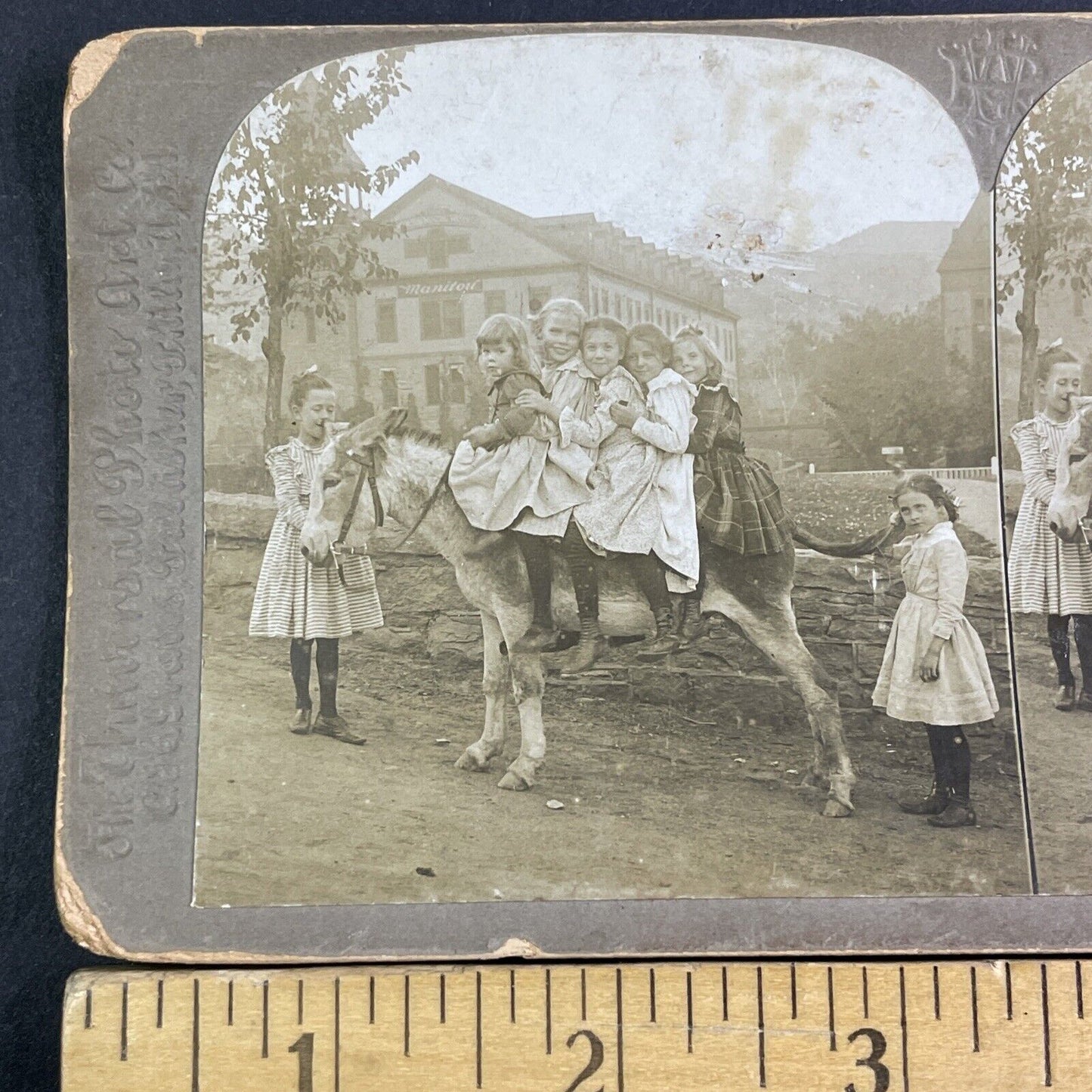 Manitou Mineral Water Bottling Co Manitou Springs Stereoview Antique c1901 X3141