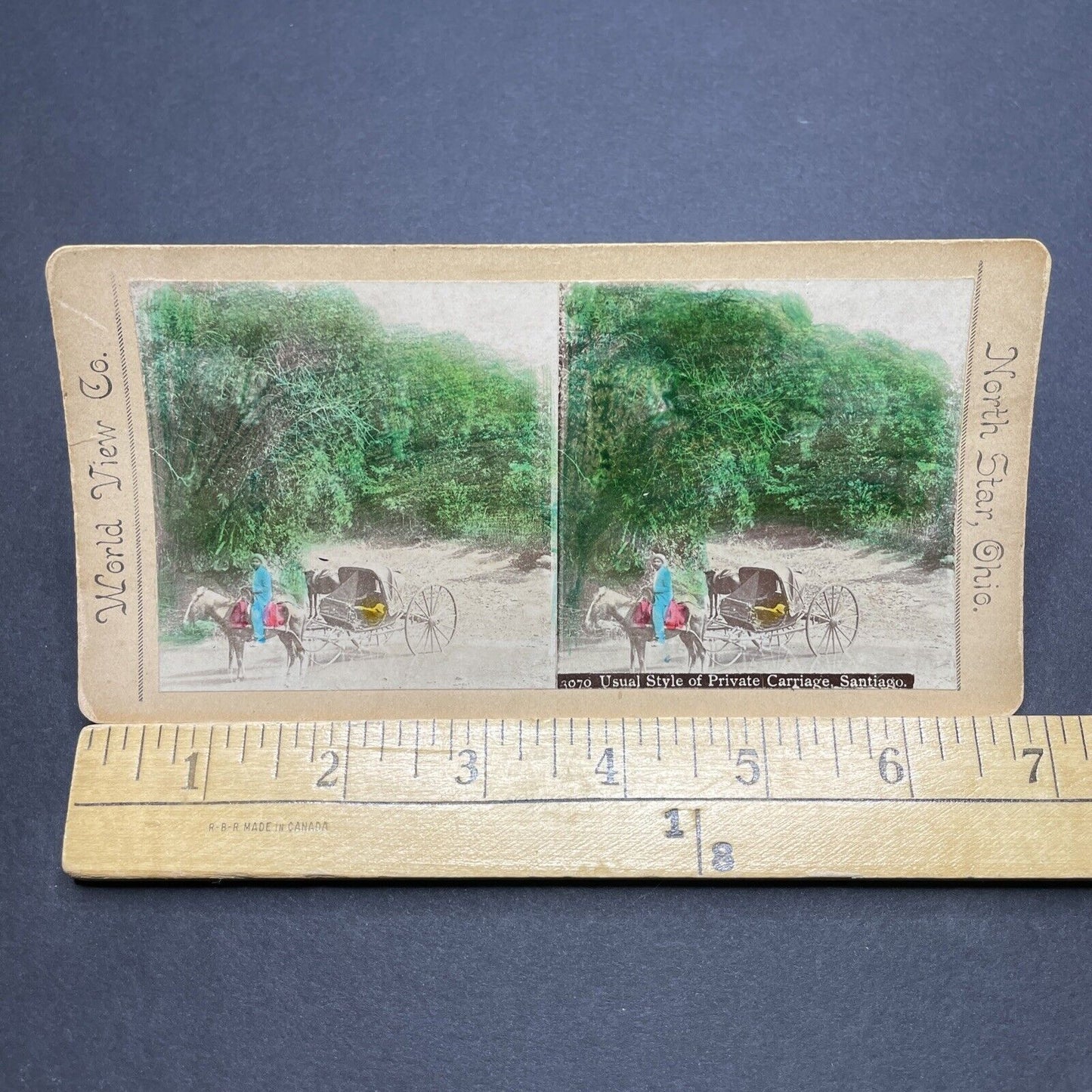 Antique 1880s Carriage & Driver Santiago Chile Stereoview Photo Card P1853