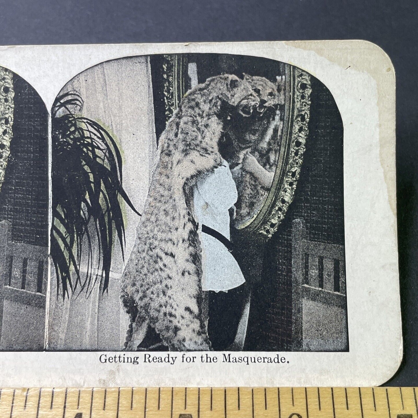 Antique 1890s Girl Wearing A Leopard Skin Rug Stereoview Photo Card P3090