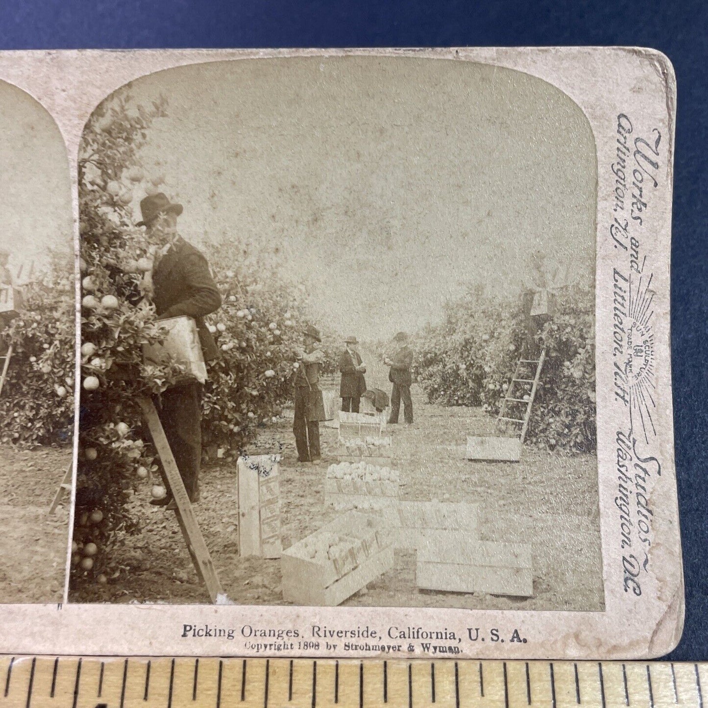 Antique 1898 Orange Grove Farm Riverside California Stereoview Photo Card P3470