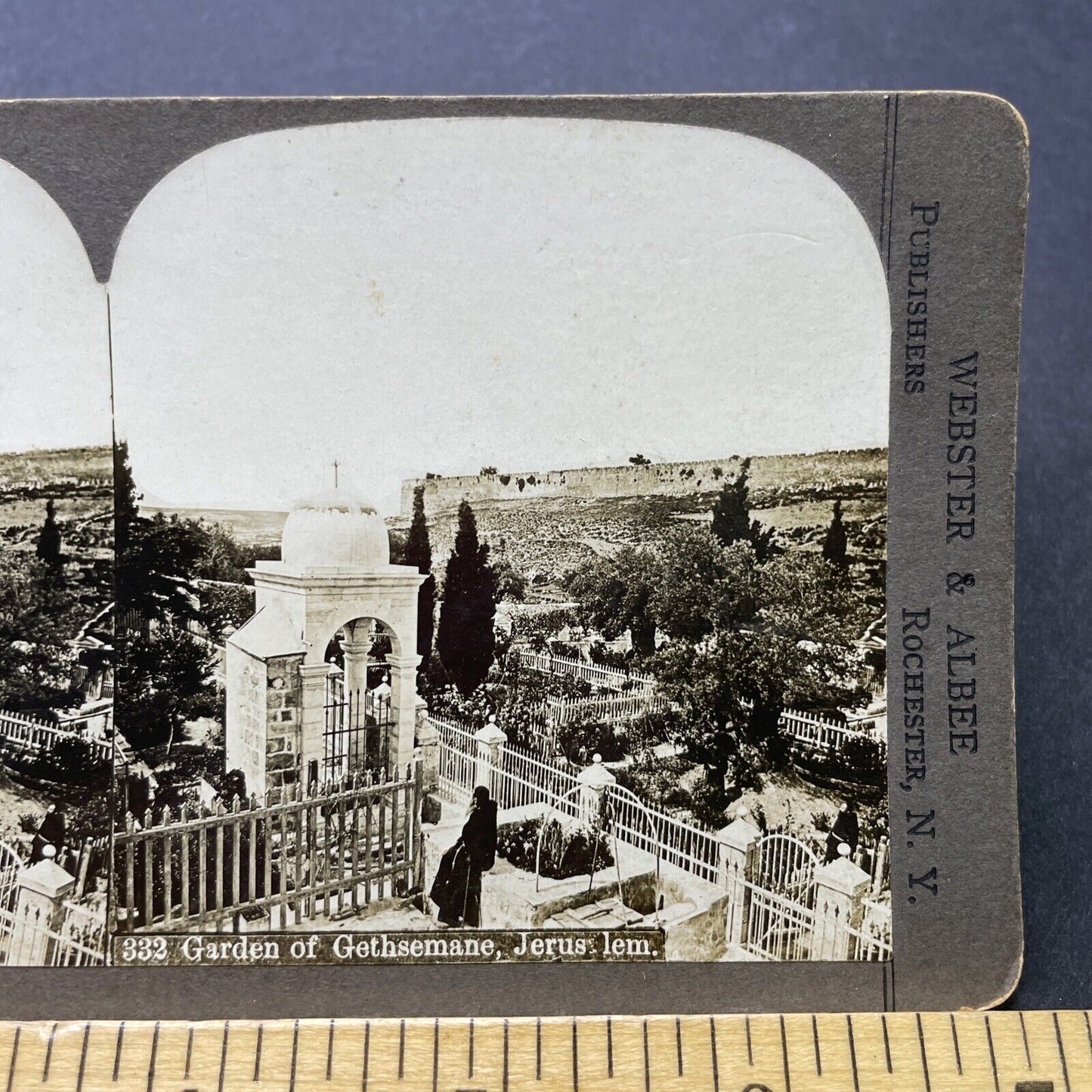 Antique 1901 Garden Of Gethsemane Israel Palestine Stereoview Photo Card P2494