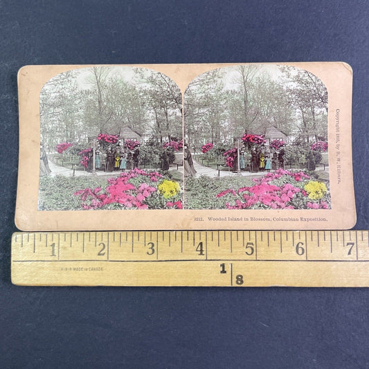 Wooded Island Chicago Illinois Stereoview Jackson Park Antique c1893 X3135