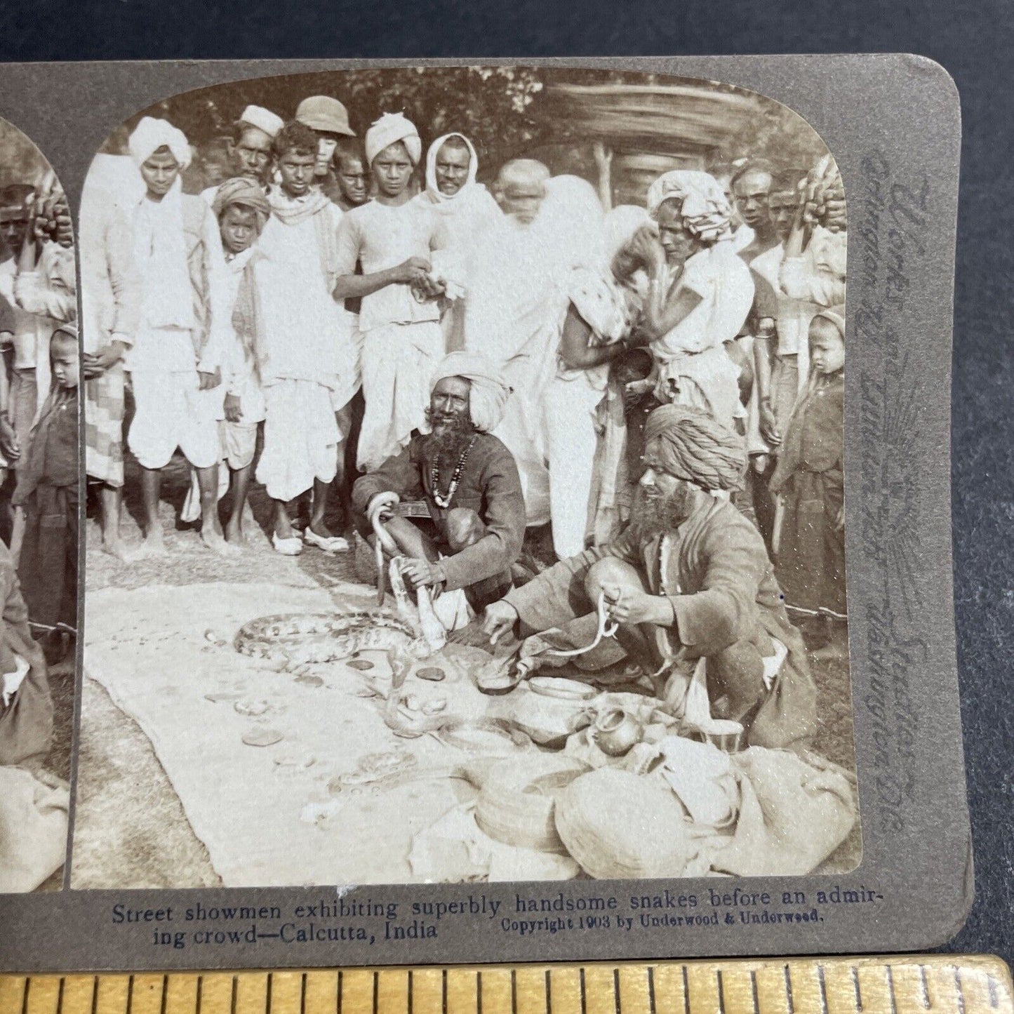 Antique 1903 Snake Charmers Hold Poisonous Snakes Stereoview Photo Card P5653