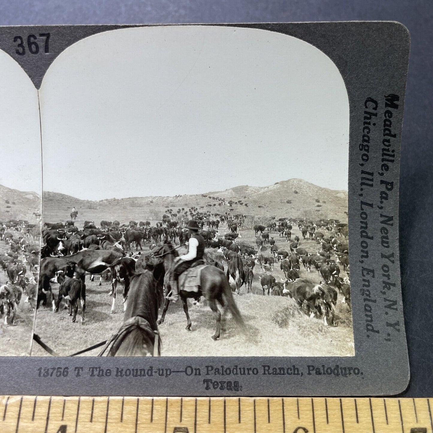 Antique 1910s Texas Cowboys Round-Up Cattle Stereoview Photo Card P3181