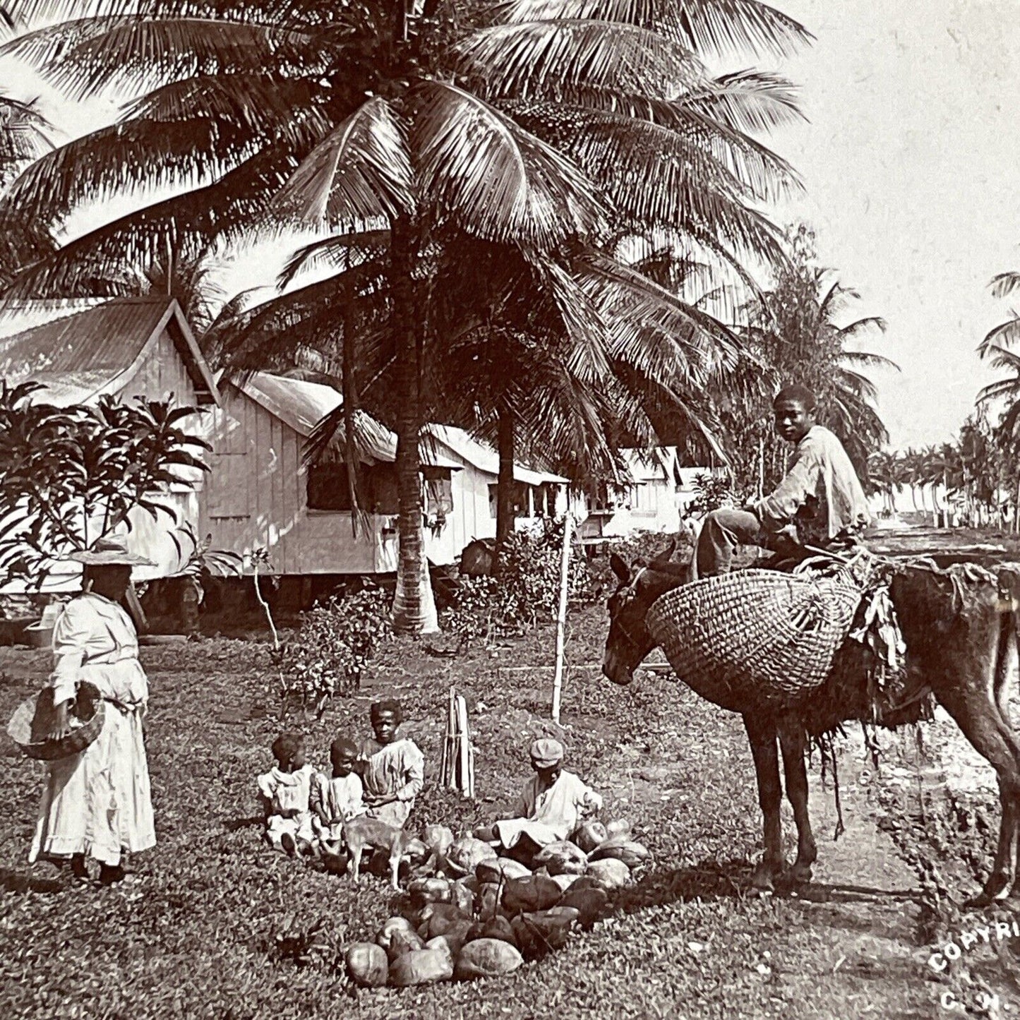 Port Antonio Jamaica Town Village Stereoview CH Graves Antique c1898 X3220