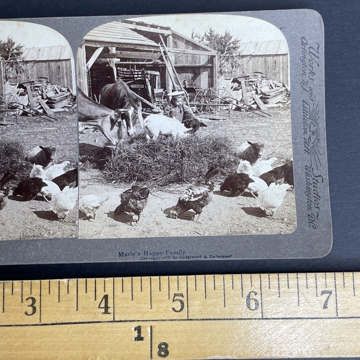 Antique 1902 Typical United States Midwest Farm Stereoview Photo Card PC800