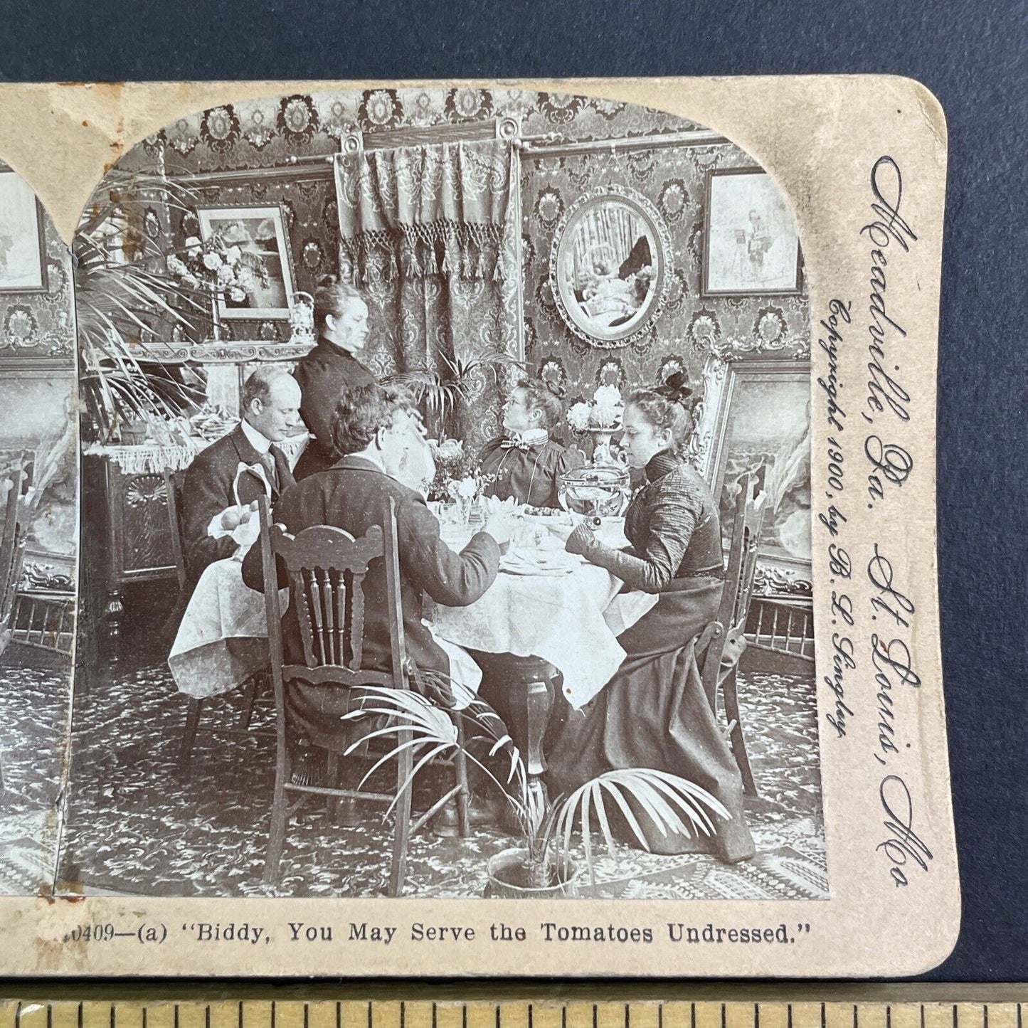 Woman Orders Maid To Bring Food to Table Stereoview Antique c1900 Y1224