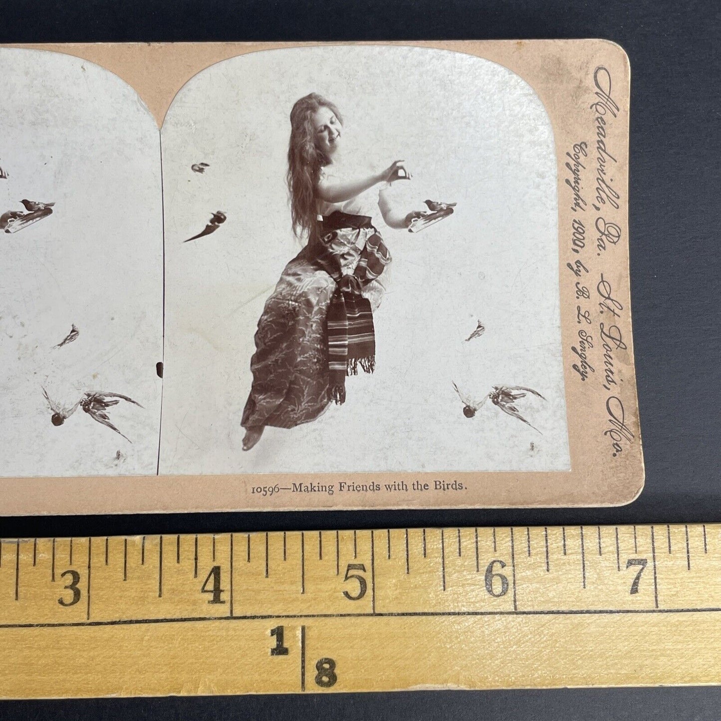 Antique 1900 Beauty Posing With Stuffed Birds Stereoview Photo Card PC784