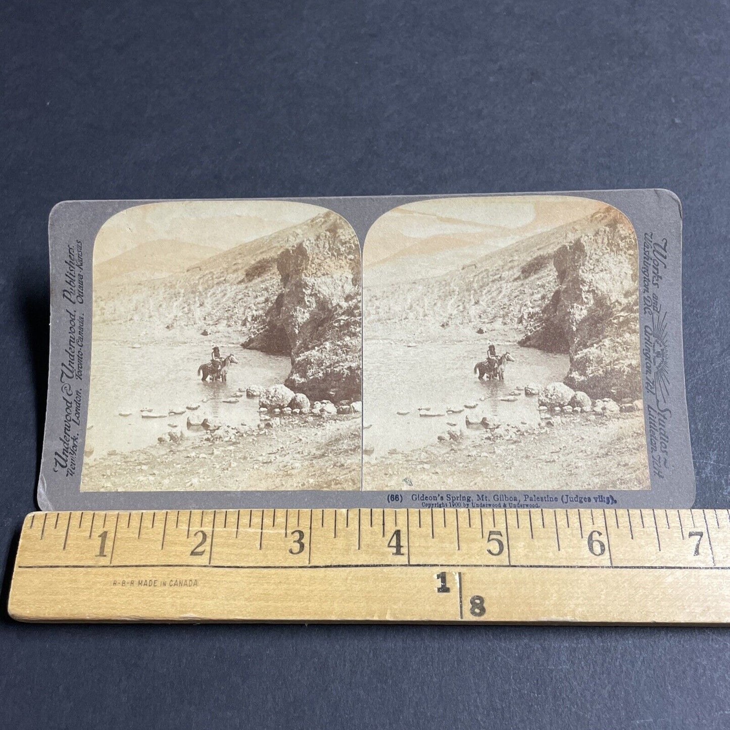 Antique 1900 A Hunter On Horseback In Water Stereoview Photo Card P4433