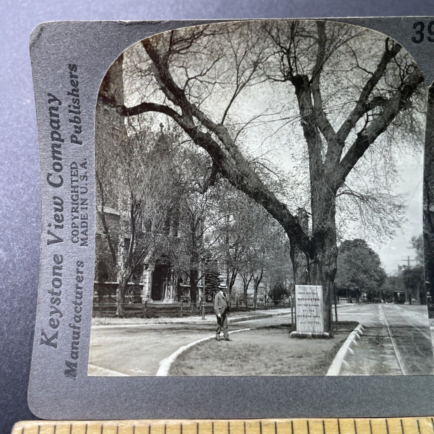 Antique 1925 Washingtons Elm Tree Cambridge Mass Stereoview Photo Card P3290