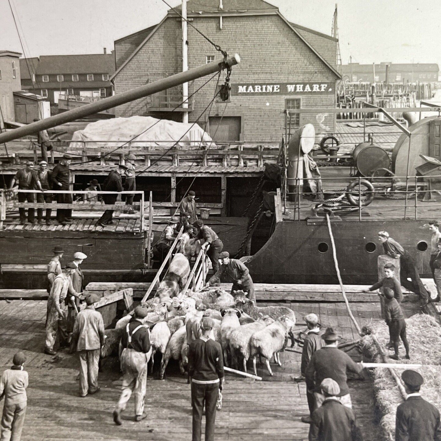 Antique 1910s Marine Wharf Charlottetown PEI Stereoview Photo Card P1448