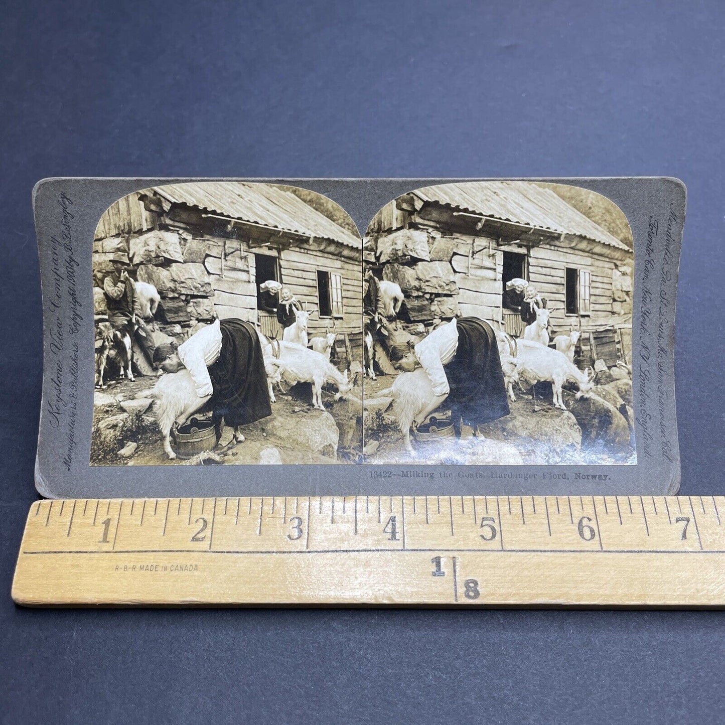 Antique 1903 Teenager Milking Goat Hardanger Norway Stereoview Photo Card P1956