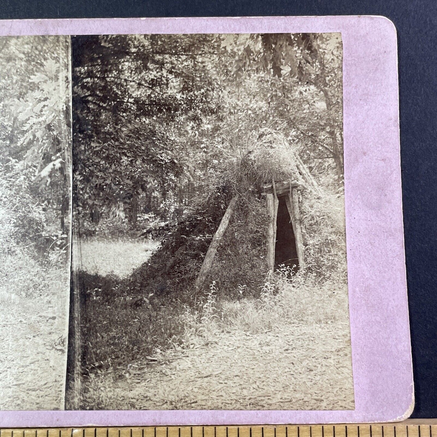 Overgrown American Indian Hut Stereoview Yosemite Charles Weed Antique 1860 X838